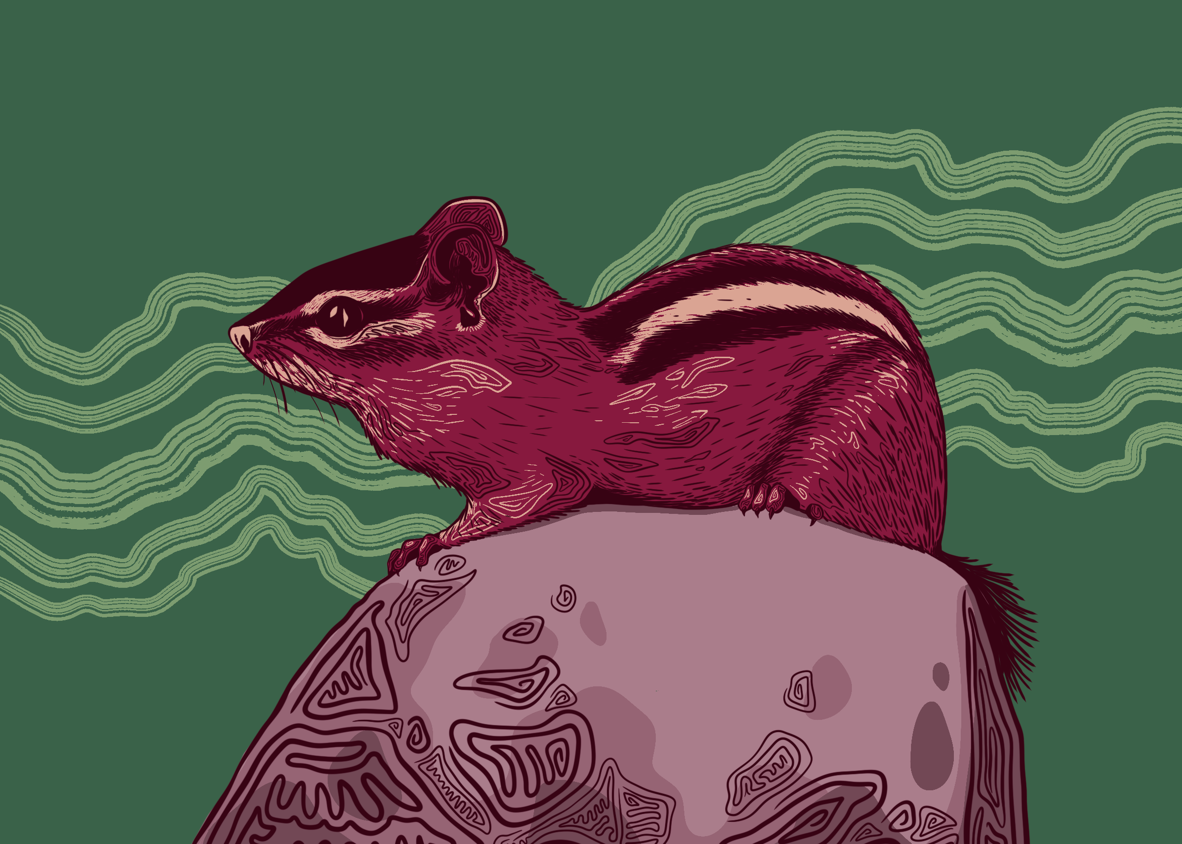 Chipmonk Illustration